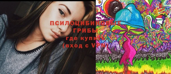 дживик Лабытнанги